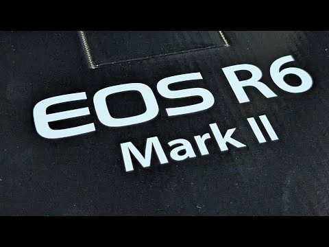 新型機CANON EOS R6 MarkⅡ開封の儀