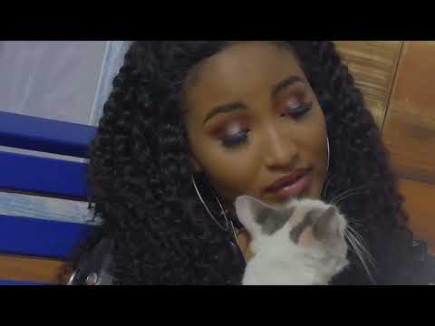 Pon Mi x Domino Remix FULL VERSION - Shenseea x STRAY KIDS MV (TikTok) pussy tight pussy pussy fresh