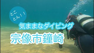 気ままなダイビング。宗像市　鐘崎