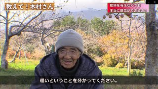 【自然栽培】肥料を与えなくても本当に野菜は育つの？【木村秋則さん】