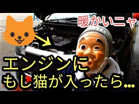 エンジンルームに猫が!!#猫バンバンは、ちょっとした思いやりで救える命の日(2月22日は猫の日)