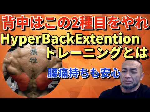 背中に強い刺激を安全に与えるHyperBackExtentionとは？ #山岸秀匡  #筋トレ #背筋  #背中