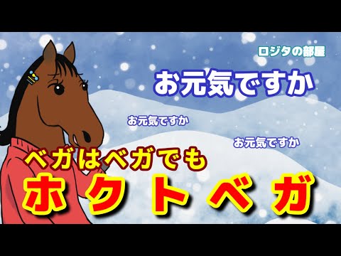 【ホクトベガ】ドバイで散った「砂の女王」が尊敬する「川崎の女王」と対談【ロジタの部屋 第215回】