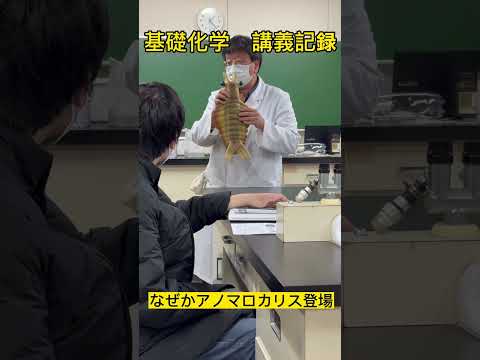 教材紹介　なぜかアノマロカリス登場