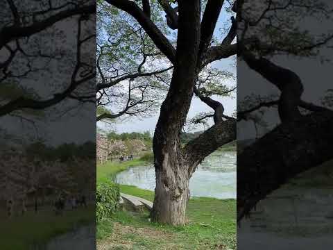 大崗山ㄧ日遊