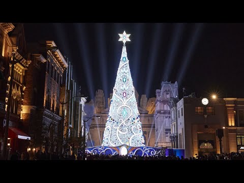 【USJ『NO LIMIT! クリスマス』クリスマス・ツリー点灯式＆スペクタクル・オブ・ライツ】