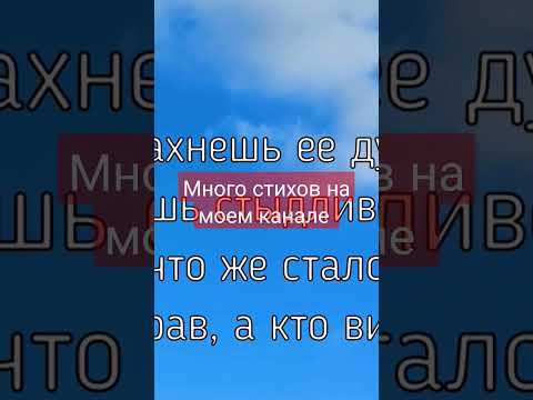 А ты уже подписан на мой канал? #поэзия #стихи #любовь #трогательныестихи #измена