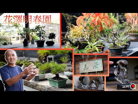 Stylish atmosphere and wide range of knowledge, Hanazawa Meishunen, Part 1 [Bonsai Q]