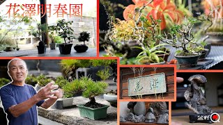 Stylish atmosphere and wide range of knowledge, Hanazawa Meishunen, Part 1 [Bonsai Q]