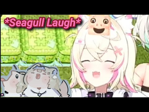 Mococo Seagull Laugh