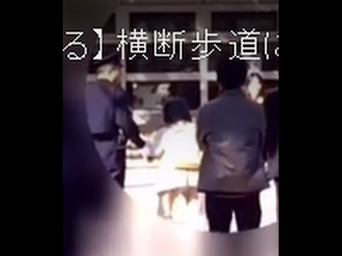 【感動】横断歩道に取り残されたおばあちゃんを警察官が手を繋いで一緒にわたる