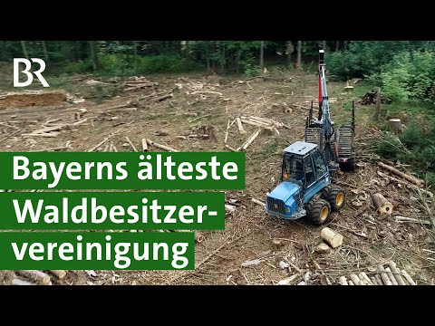 Waldbesitzervereinigung Bamberg | Republish | Unser Land | BR Fernsehen