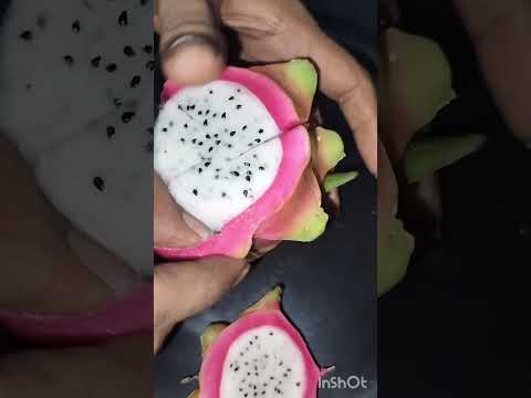 Dragon Fruit 🤤#yt #shortsyoutube #youtubeshorts #viral #dragonfruit #fruits #healthy #shortvideos