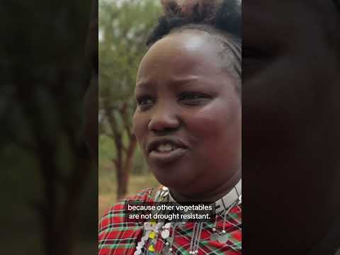 Martha Ntoipo (Maasai Survival skills) -- Indigenous Knowledge