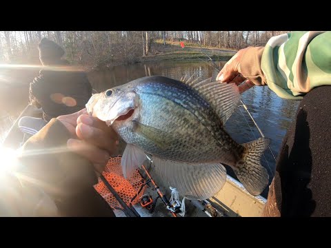 Jigging For Crappie!! 2024