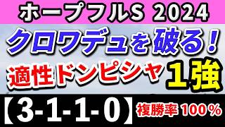 ホープフルステークス 2024【鉄板注目馬⇒複勝率100％(3-1-1-0)】中山で真価を発揮する！クロワデュノールを上回る1強はコレ！+消去データ公開！