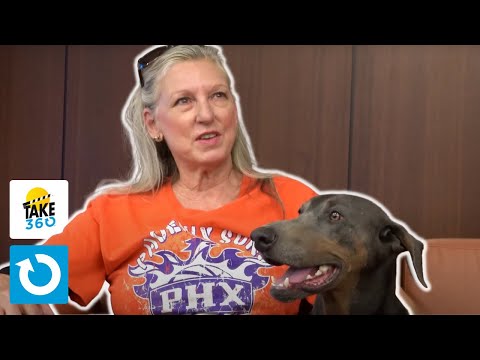 Cher & Huckleberry | Take360 Presented by Guild Mortgage