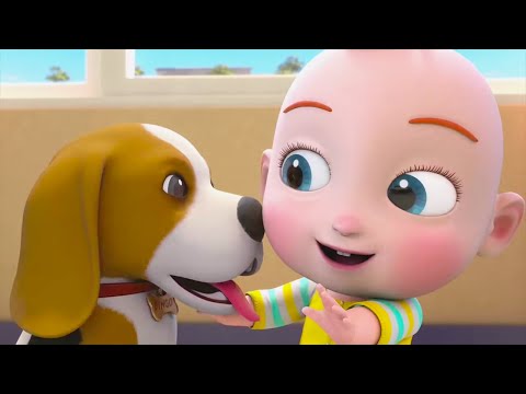 Super JoJo My Home - JoJo And Bingo - Play And Learn How To Take Care Of Puppy | BabyBus Kids Games