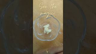 Easy Tip to Peel Garlic | kitchen Tip #garlicpeeling #kitchenhacks #kitchentipsandtricks