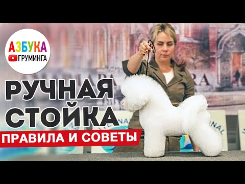 Ручная стойка для собак. Особенности, советы грумерам