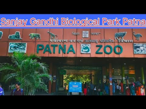 Patna Zoo  | पटना चिड़ियाघर | Sanjay Gandhi Biological Park | Patna Zoo Full update | Patna Bihar