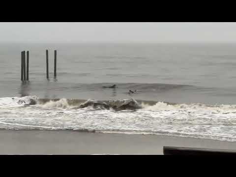 North Florida Surf And Beach Update 715am 12.11.24