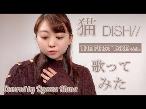 【女性が歌う】猫〜THE FIRST TAKE ver.〜/ DISH// (Covered by 小川真奈)  歌詞付き