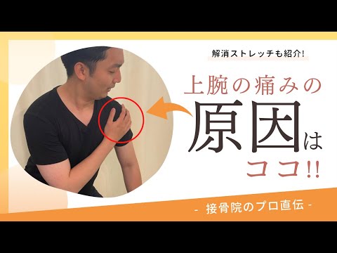 【肩から腕の痛み〜上腕二頭筋腱炎〜】物を持とうとしたとき、手を突いたときにズキっと肩から腕にかけて痛みが走るときのストレッチ！｜接骨院のプロが教えるお家セルフケア｜テラピスト接骨院