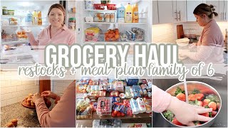 FAMILY OF 6 WEEKLY GROCERY HAUL | FRIDGE RESTOCK + ORGANIZATION + MEAL PLAN