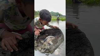 Amazing Fishing In River #bigfish #fishingvideo #shorts