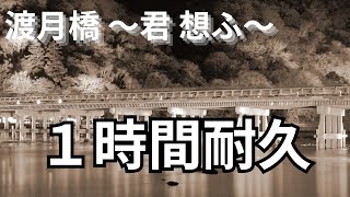 【自然につながった１時間耐久】渡月橋 ～君 想ふ～ 倉木麻衣（フル）　1 Hour【MV付き】