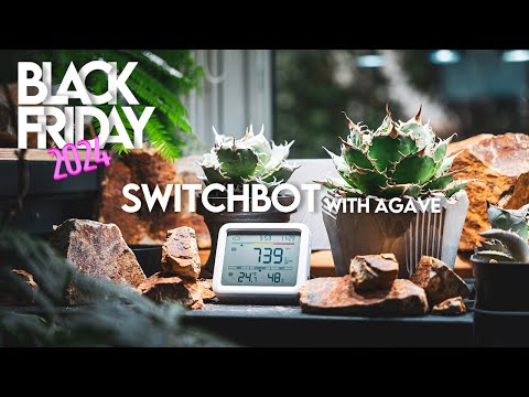 【Amazonブラックフライデー】植物×スマートホームで叶える理想のデスク環境【Switchbot CO2センサーでアガベオテロイ育成の最適化】