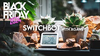 【Amazonブラックフライデー】植物×スマートホームで叶える理想のデスク環境【Switchbot CO2センサーでアガベオテロイ育成の最適化】