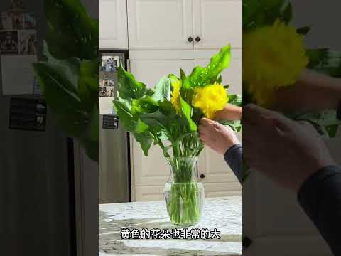 马蹄莲叶片插花的妙用｜Calla lily leave flower arrangement