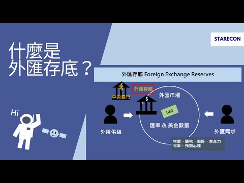 什麼是外匯存底？Foreign Exchange Reserves【經濟學學什麼】