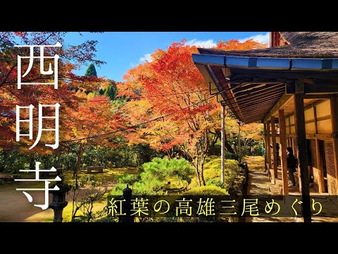 🍁京都紅葉2024🍁西明寺(高尾三尾)の紅葉ってどんな感じ？