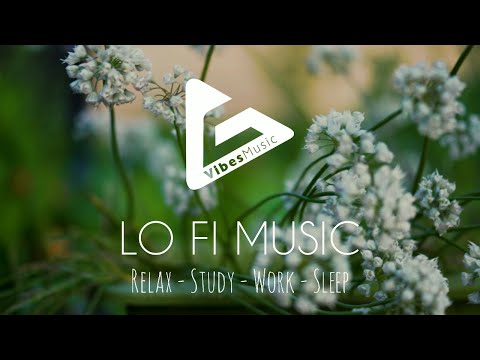 DJ Quads - Flowers - Lofi Chill Hip Hop Ambient Music (Relax/Study/Work/Sleep) (4K)