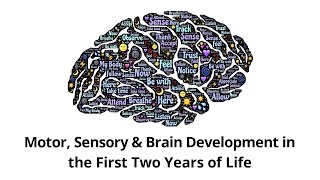 Motor, Sensory & Brain Development (Baby Brain Development)