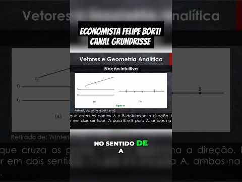 Entenda Direções e Sentidos em Retas Paralelas #matemática #economista #FelipeBorti #shorts