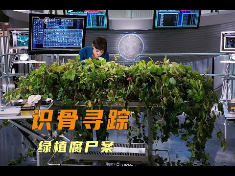 野外惊现人形绿植，检查竟发现绿植以腐尸为养料，美剧识骨寻踪