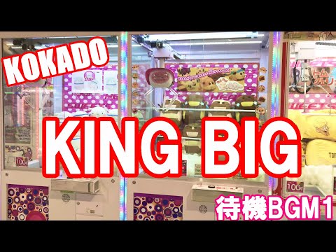 【KOKADO】KING BIG 待機BGM1