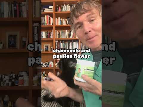 Dog scared of vet or the groomer? Try my new, natural Canine Calming Chews