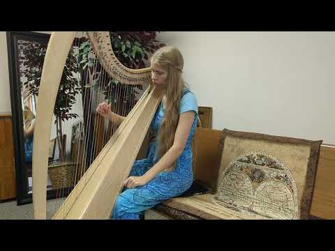 Lucy Meets Mr. Tumnus Beginner Harp Cover