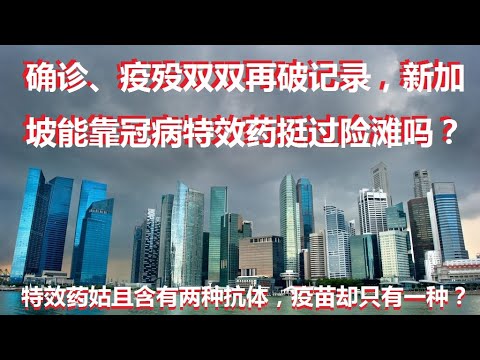 新加坡再破确诊和疫殁人数记录，冠病特效药能让新加坡战胜冠病吗？特效药姑且含有两种不同抗体，是否警示疫苗单一抗体的不足？目前的冠病特效药，是否完美无缺？能用在危重症病患吗？山雨欲来风满楼，悬崖就在前方？