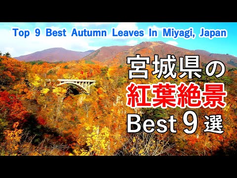 Top 9 best autumn leaves in Miyagi, Japan / Naruko Gorge, Matsushima. Akiu Falls , Abukuma River