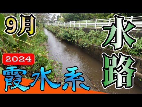 【バス釣り】【霞ヶ浦】9月_秋の連発水路_流入河川