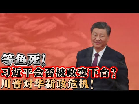 习近平会否被政变下台？川普对华新政、等鱼死！