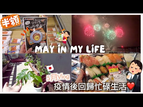 日本生活⎮5月vlog⎮北海道缺蛋日記、超市半價品、明太子馬鈴薯沙拉、洞爺湖煙火、2023年菜園開張❤️⎮Eve 伊芙,留日生活中