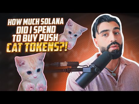 HOW MUCH SOLANA DID I SPEND TO BUY PUSH CAT TOKENS?!