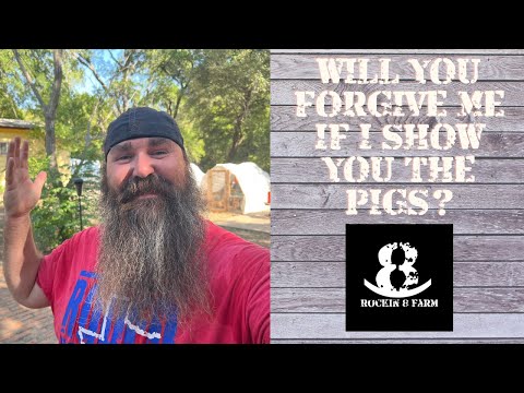 Will You Forgive Me If I Show You The Pigs | Idaho Pasture Pigs